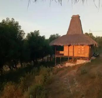 GUEST HOUSE - Housity