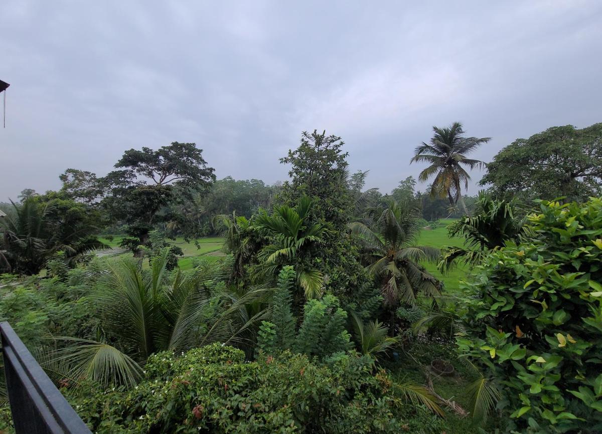 The Villa Paddy View - Housity