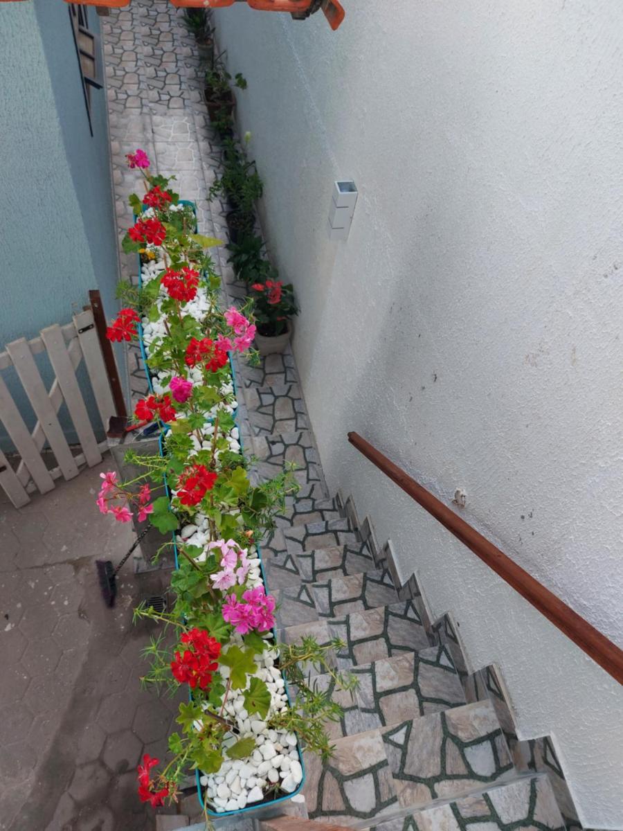 Casa em Cabo Frio - Housity