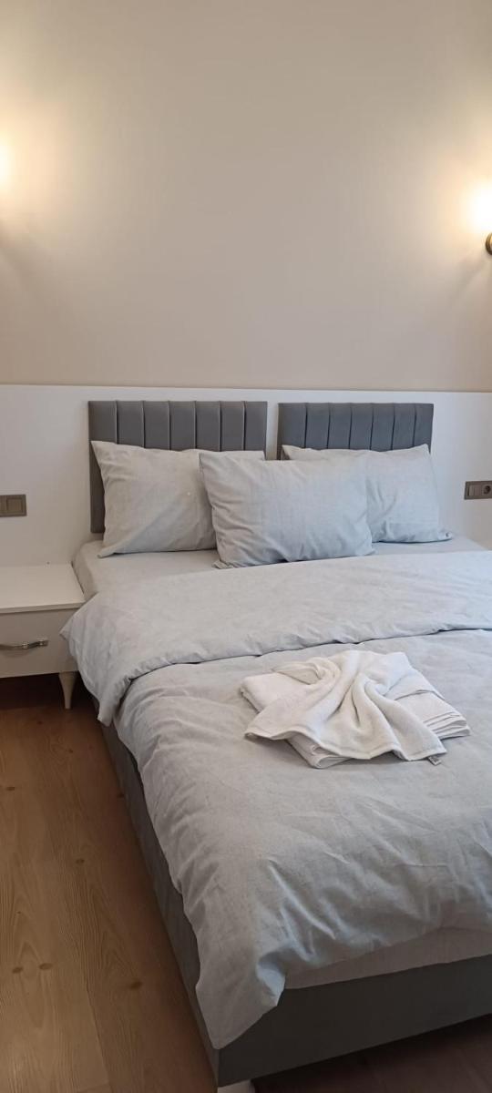 Karina Houses - Housity