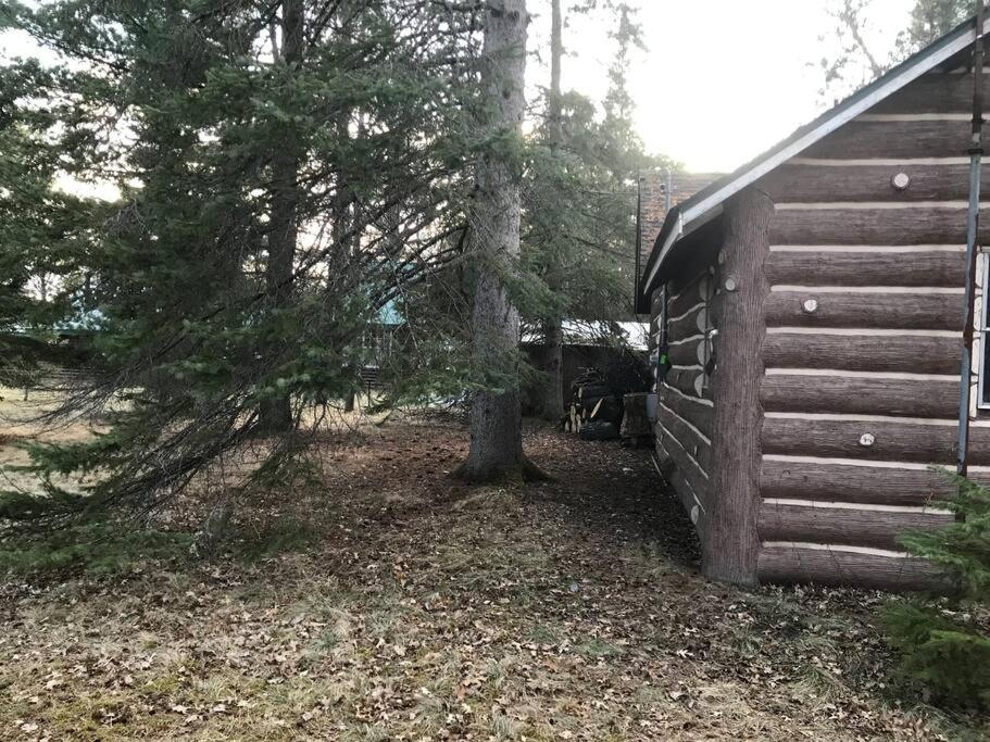 O Me, O Mio Cabin near the AuSable River - Housity