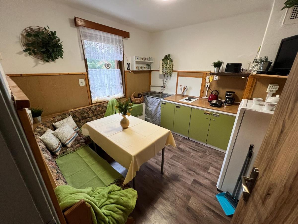 Horská chata Violeta - Housity