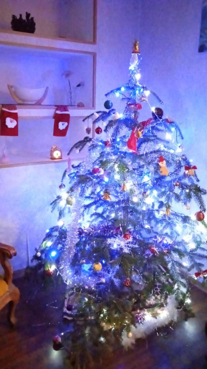 HOTEL IN RACHA - Housity