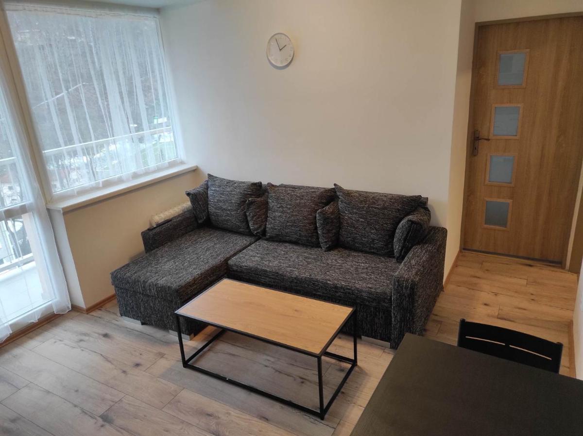 Apartmán v Desné - Housity