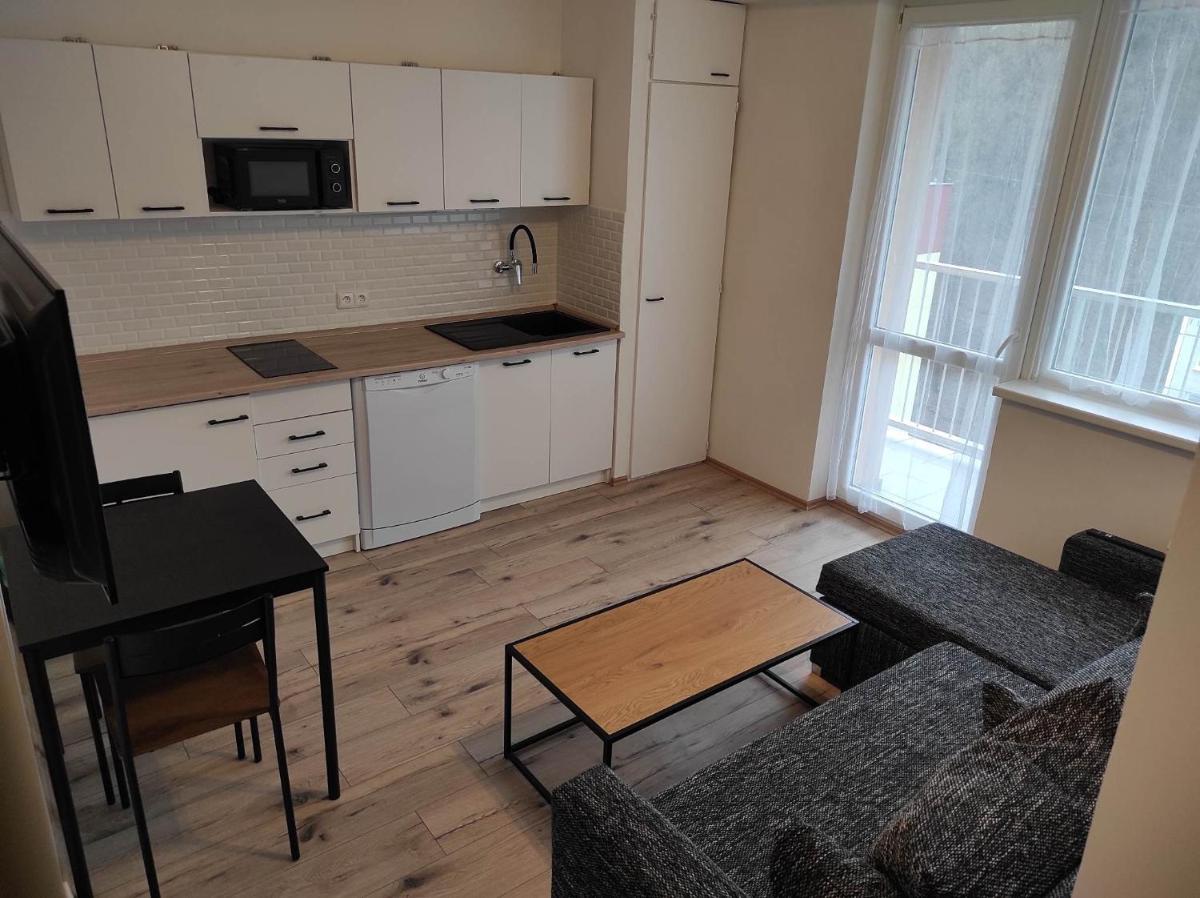 Apartmán v Desné - Housity