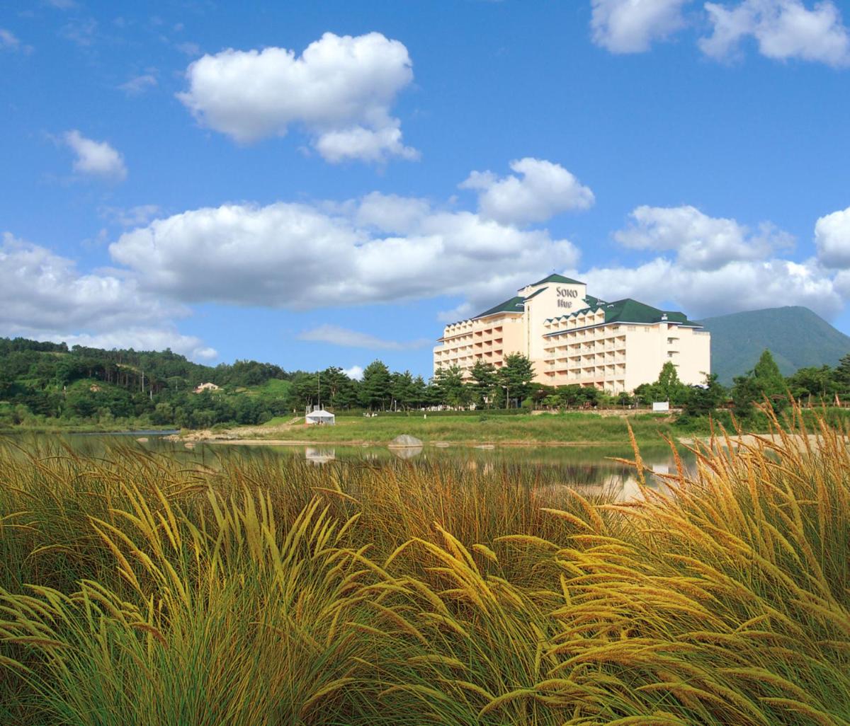 Sono Hue Yangpyeong - Housity