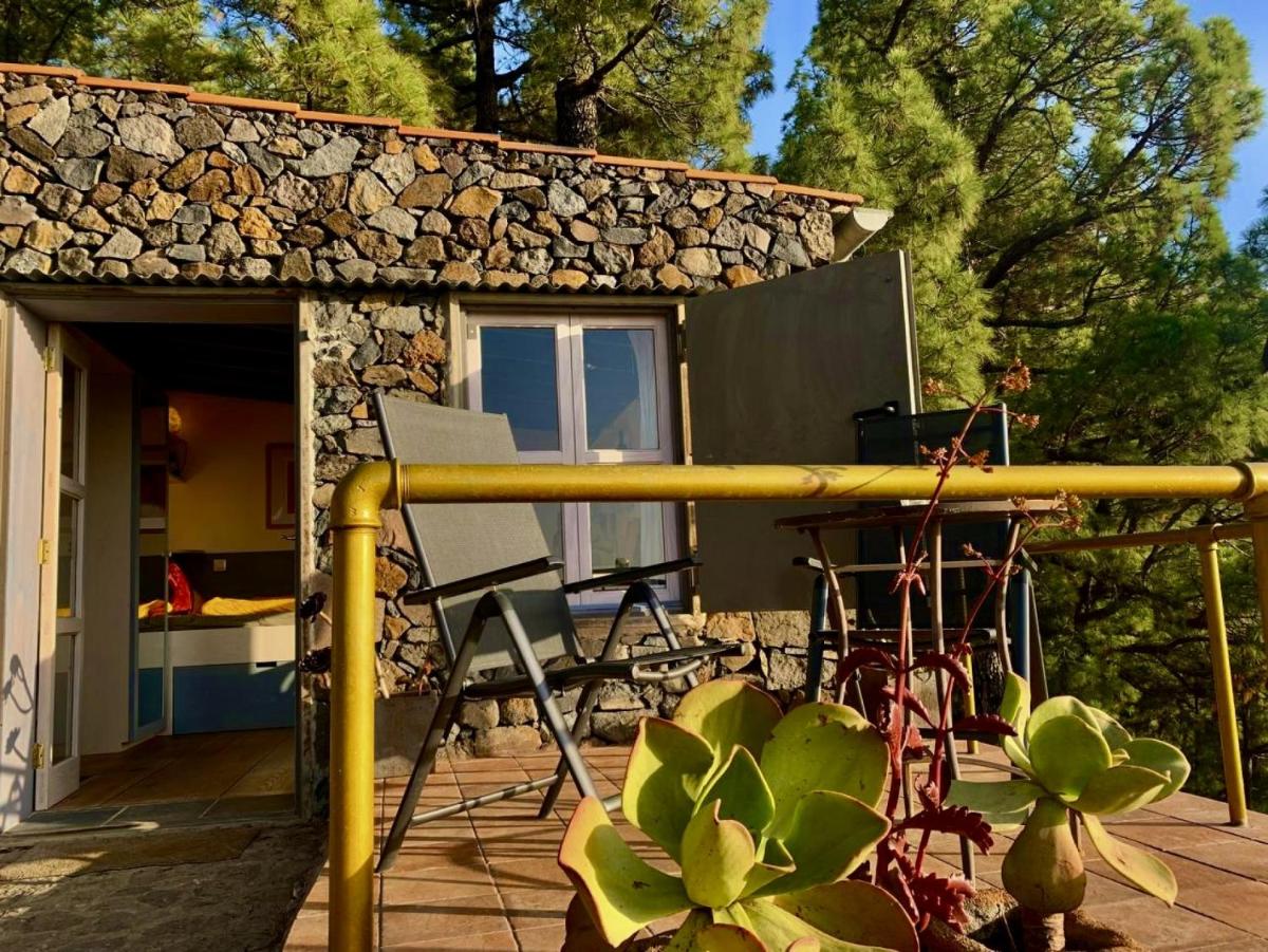 Tiny House Vogelnest - Housity