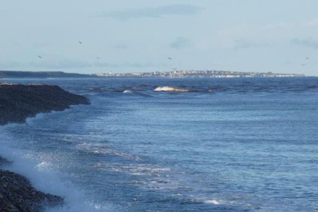 Bungalow in Spey Bay, Moray (Disabled Accessible) - Housity