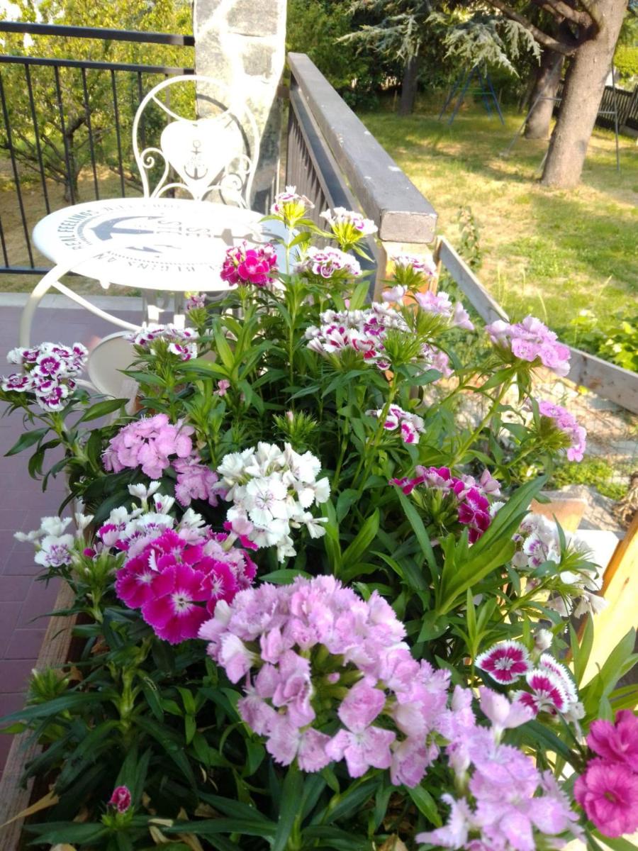 Casa T Bed and Breakfast & Home Restaurant di Tacchino Simone - Housity