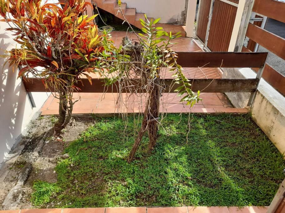Appartement Mezzanine - Housity
