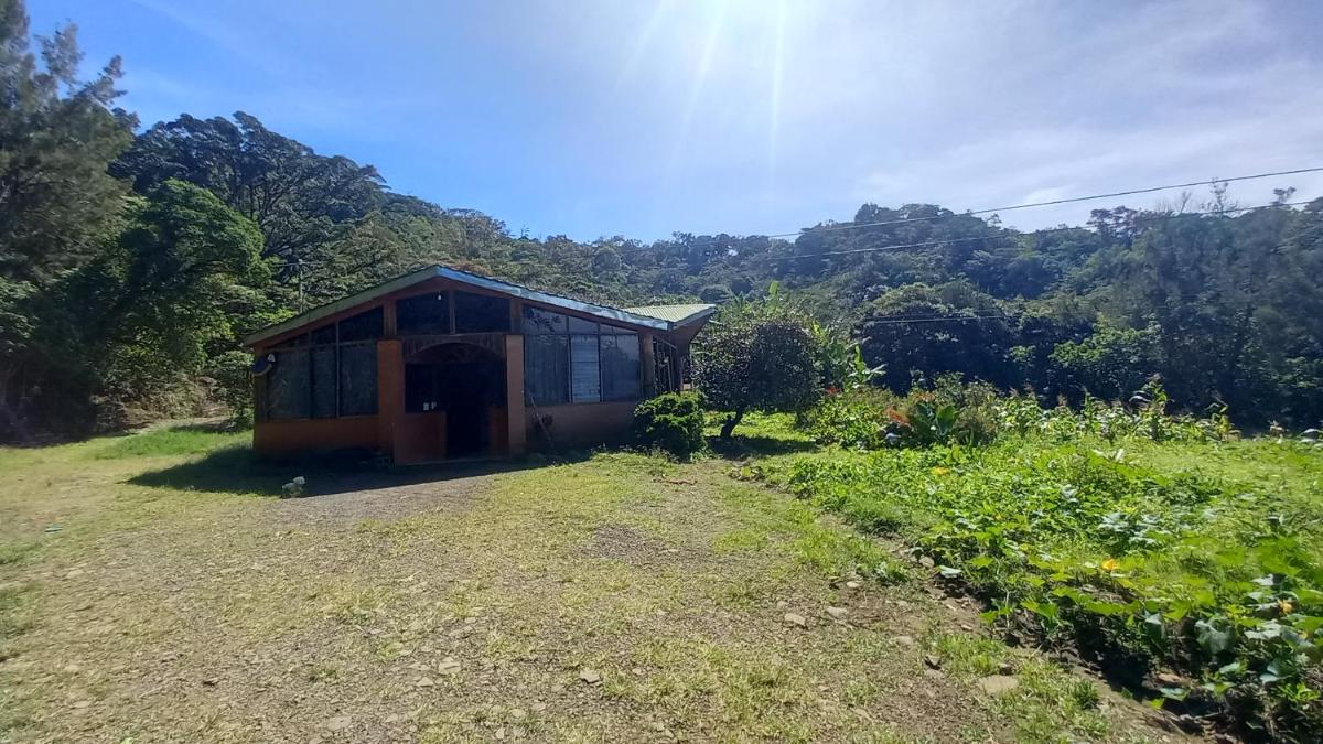 Finca Pantera - Housity
