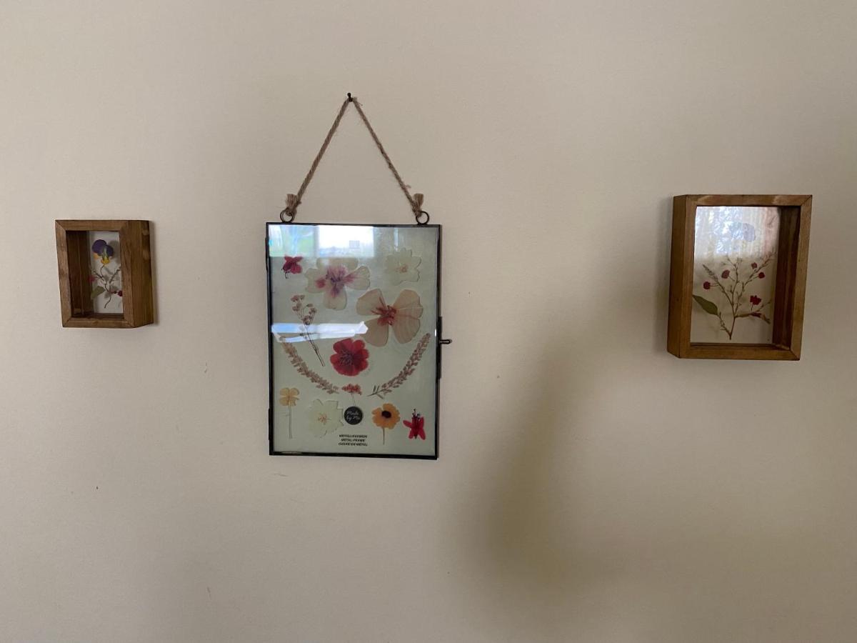 O&B Hospitality - אירוח אלף בית - Housity