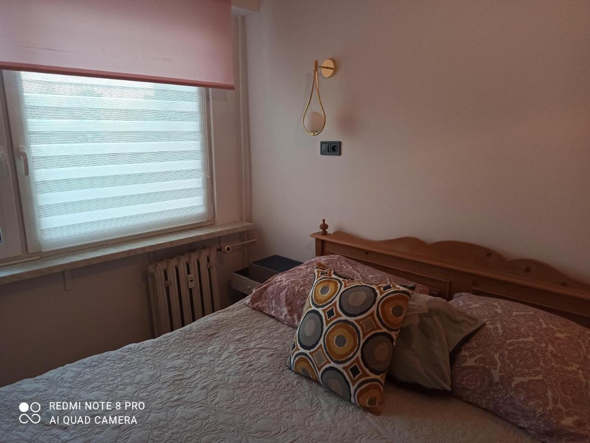 Mieszkanie Antoni - Housity