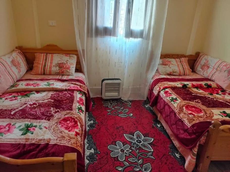 Nefertari Guest House - Housity