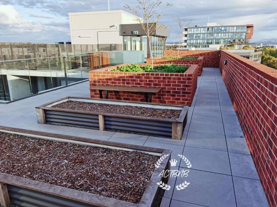 Suitetrails - City View Lovely 1BD Apartment @ CBD
