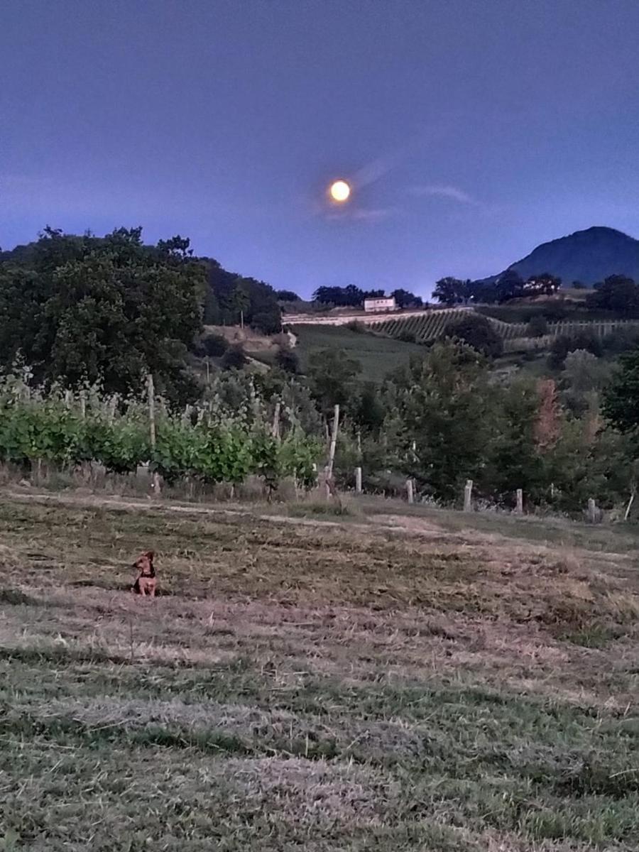 Tenuta del Savonisco - Housity
