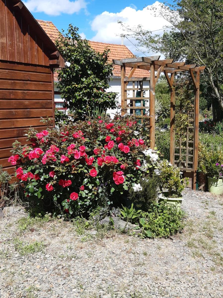 Chalet insolite - Housity