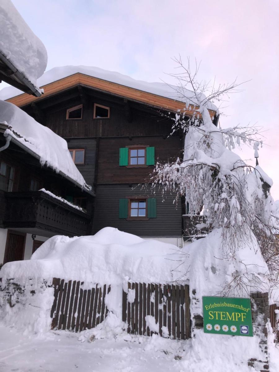 Bauernhof Stempf - Appartement 