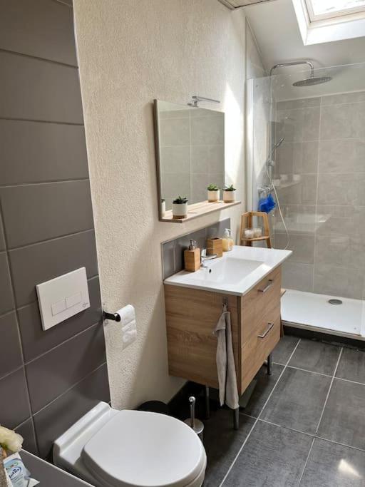 Belfort : bienvenue chez vous - Housity