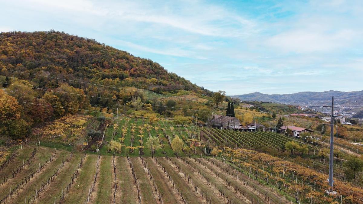 Affittacamere Casa Maria - Housity