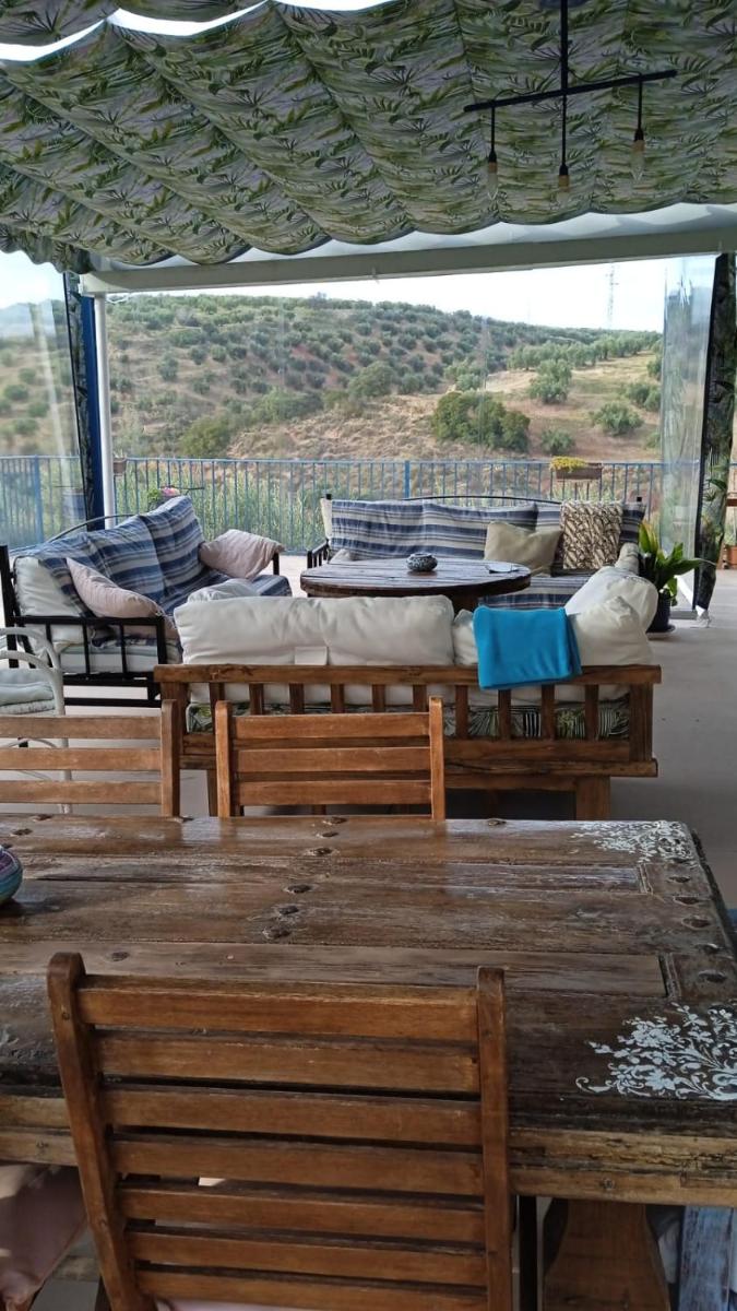Vivienda rural del salado - Housity