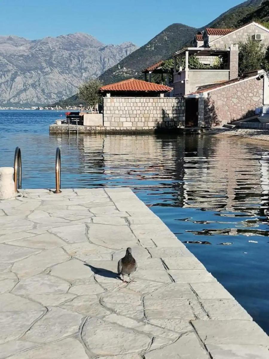 Amazing House Near Beach in Kostanjica - Housity