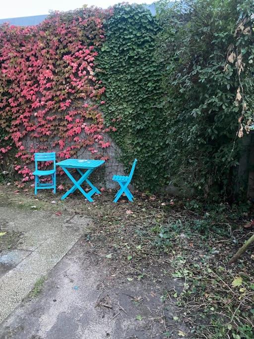 T2 cosy bien équipé climatisé pkg ext gratuit - Housity