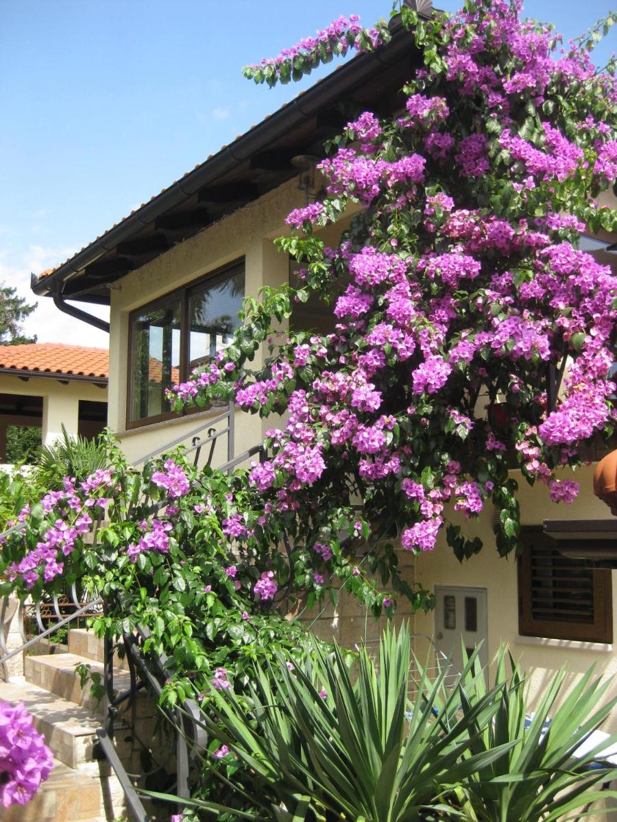 Apartments Ana - Housity