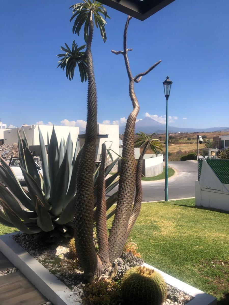 Suitetrails - Villa Everest