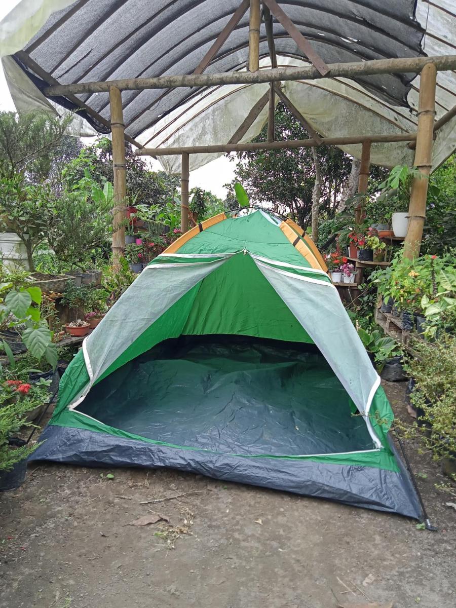 Agroturismo Voluntariado Bellavista - Housity
