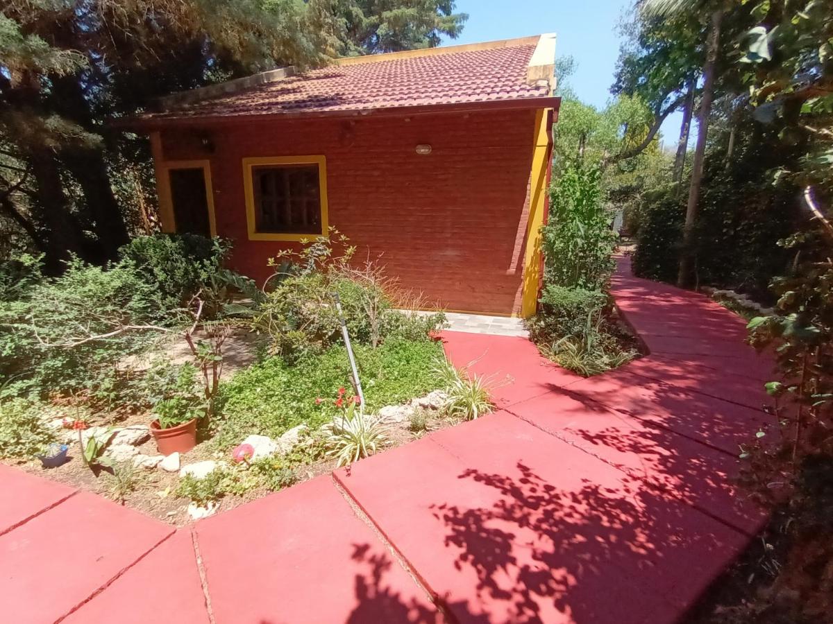 Las Casuarinas - Housity