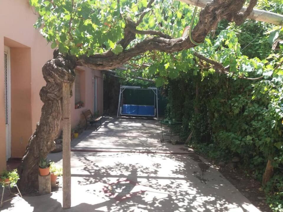 Vieja Cepa Departamento - Housity