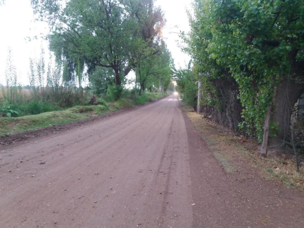 Vieja Cepa Departamento - Housity