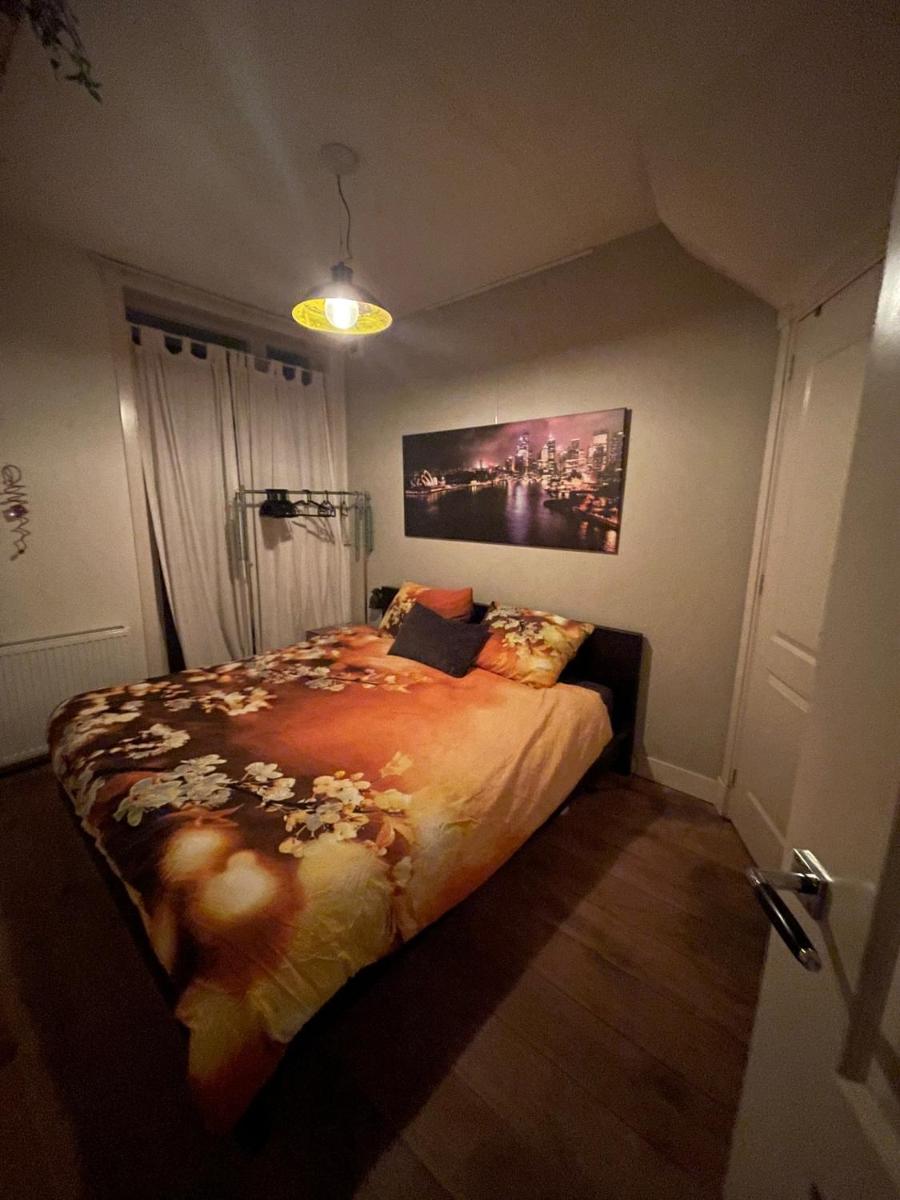 Cozy Amsterdam - Housity