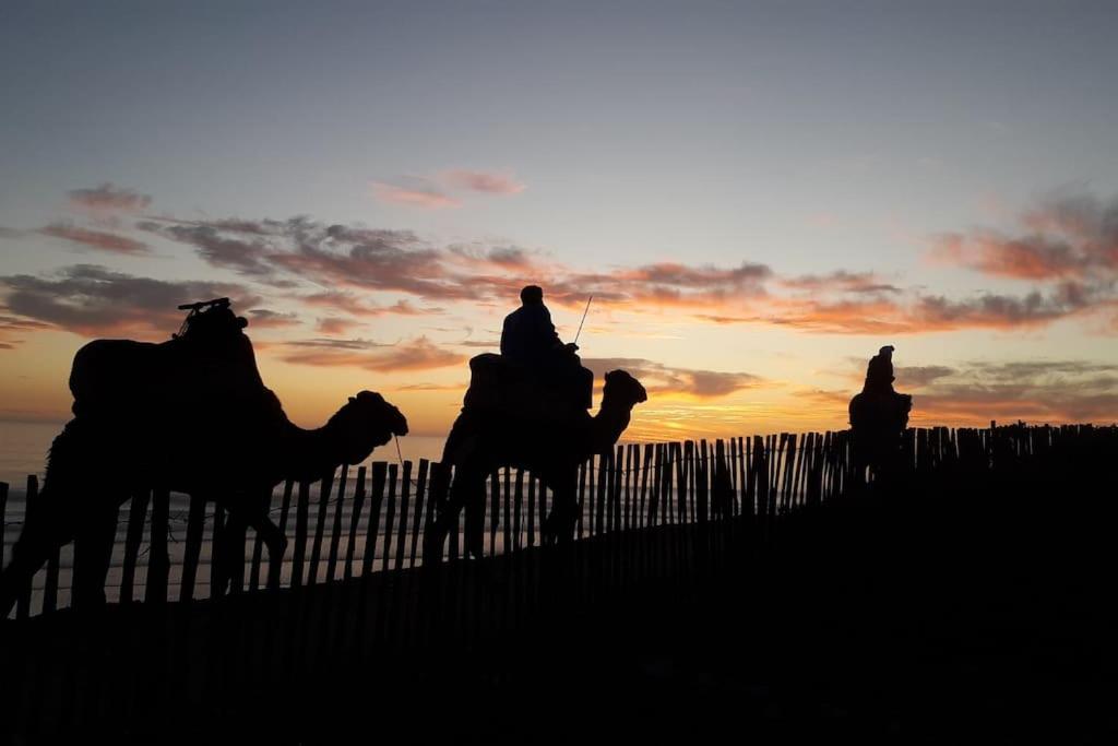 Apartment Taghazout - Housity