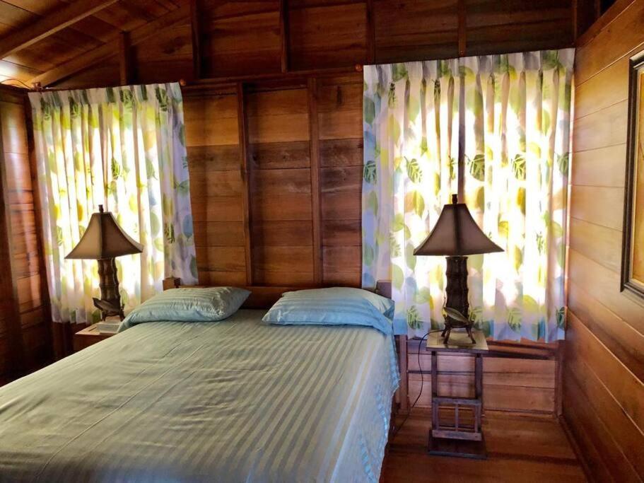 Cottage on a beautiful 200 acre cocoa estate - Housity