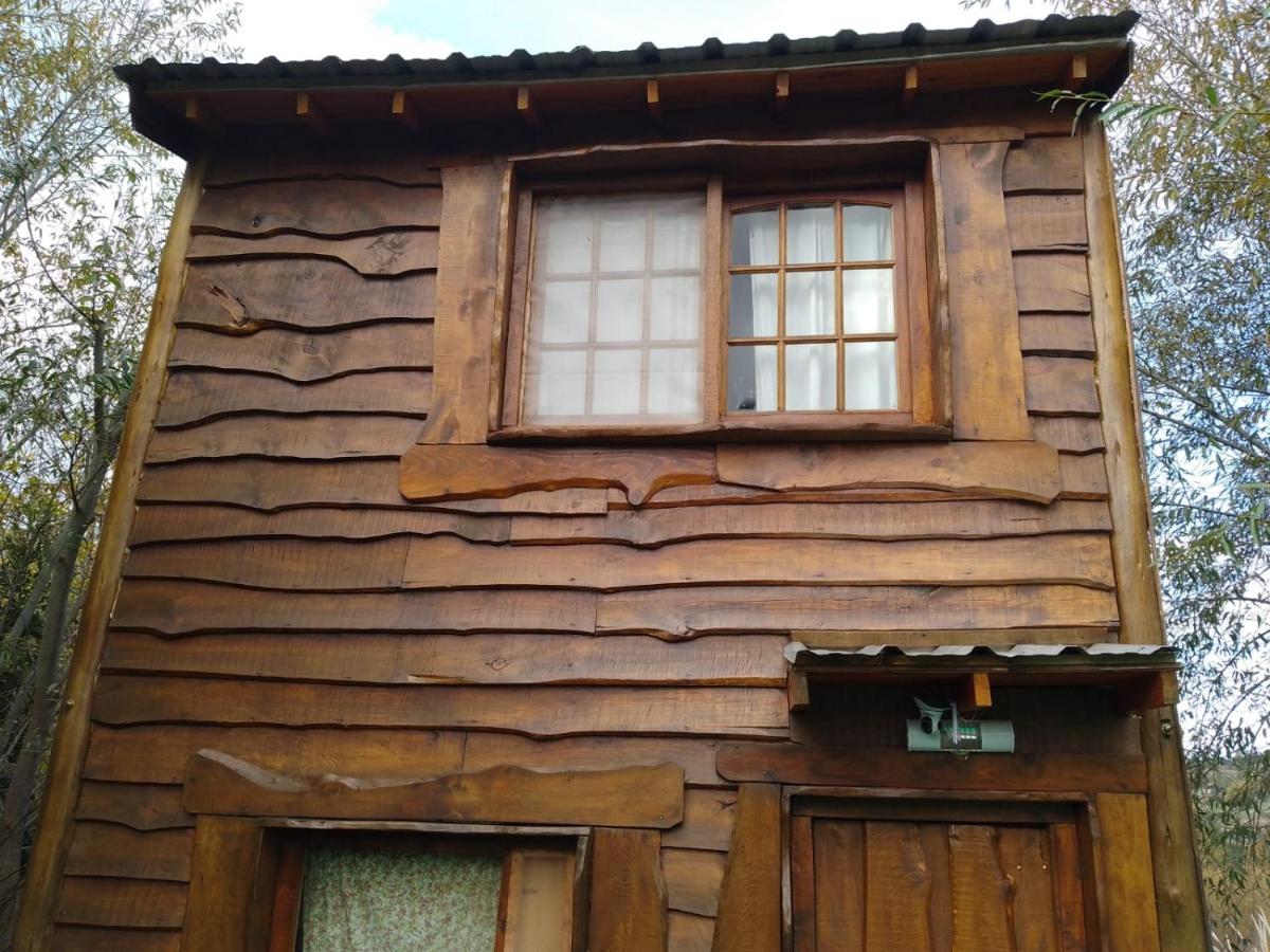 Casa Ecológica Rama & Cabaña Rústica - Housity