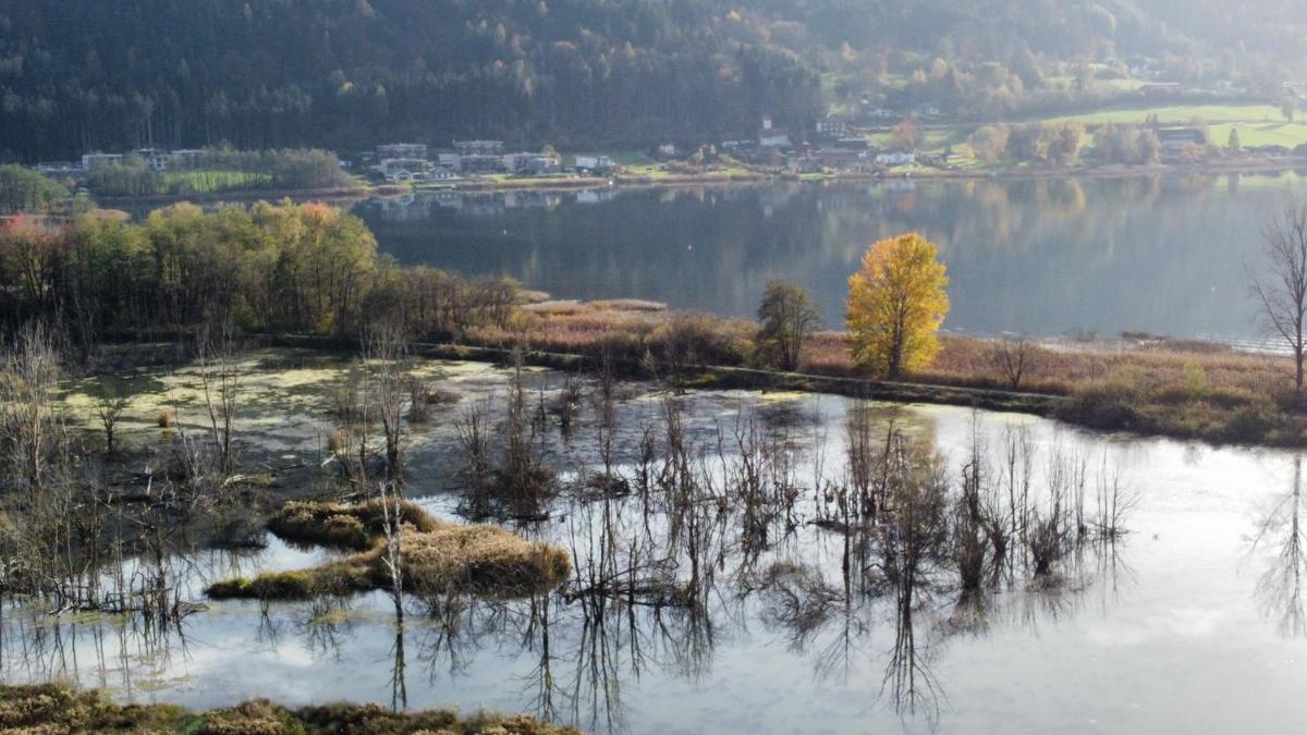 Ferienhaus Natura 2000 - Housity