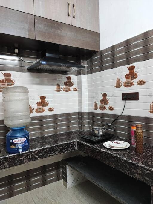 1 bhk luxury Flat with living room and balcony - Housity