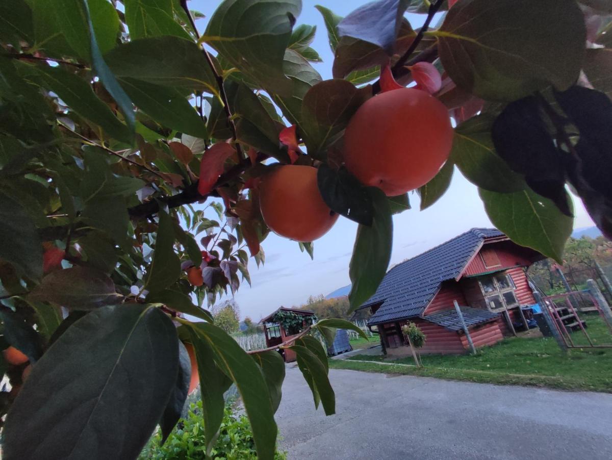 Turistična kmetija Štupar - Housity