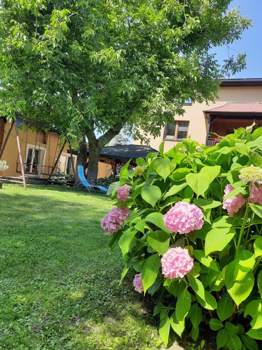 Apartament Nałęczów dom pod orzechami - Housity