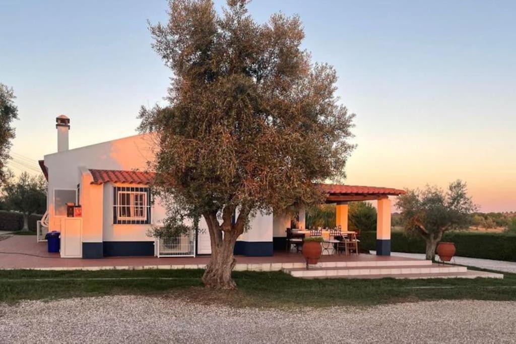 Casa das Oliveiras - Housity