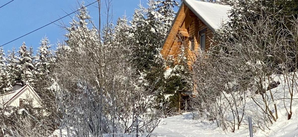 Alpenchalet Grabner Alm am Präbichl - Housity