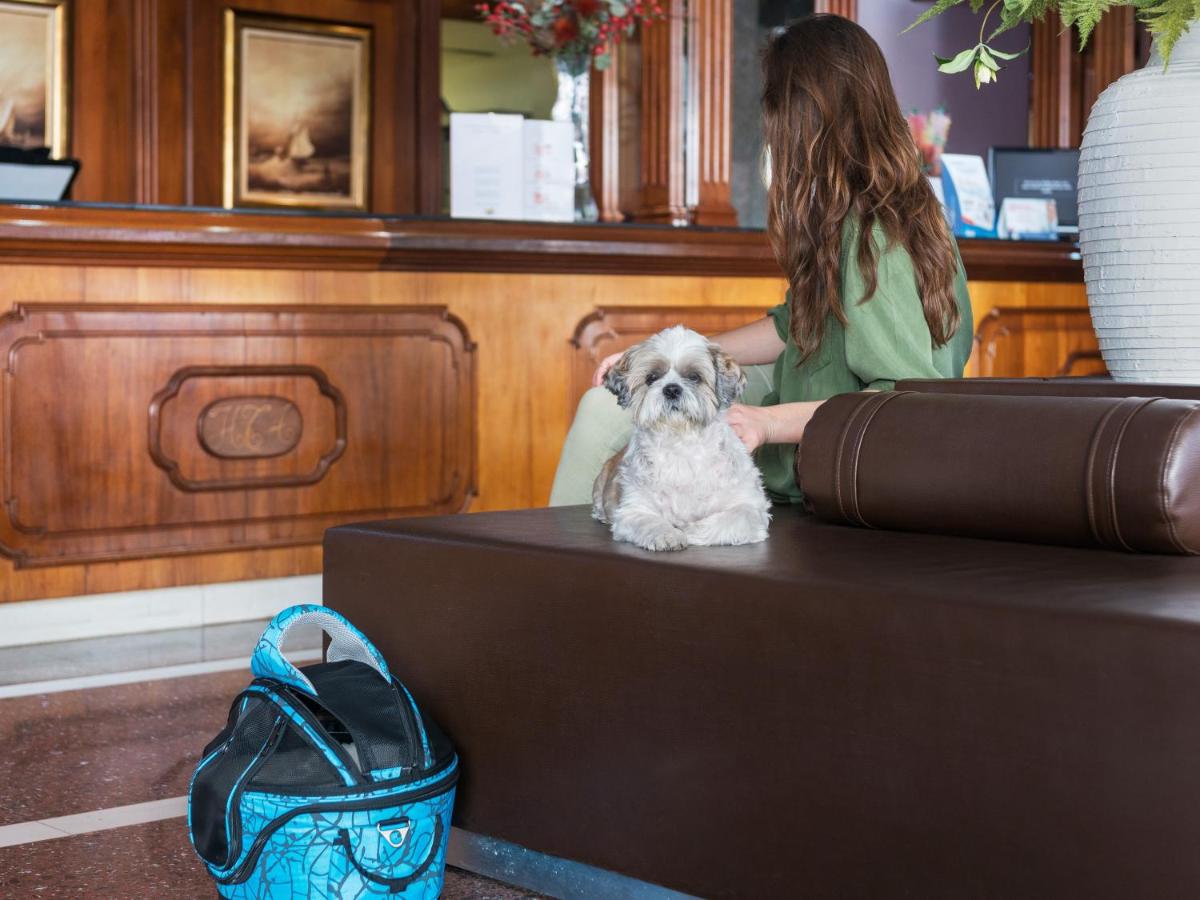 Mascotas con sus dueños en Hotel Torre Azul & Spa - Adults Only