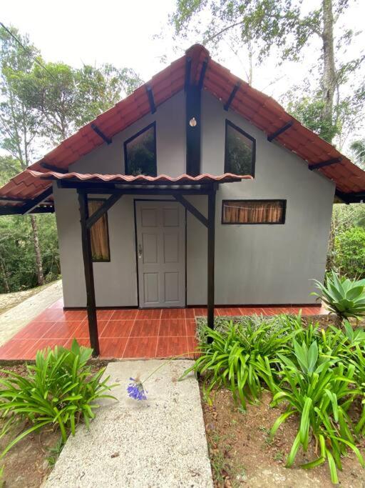 Koi's House - Quebradillas de Dota - Housity