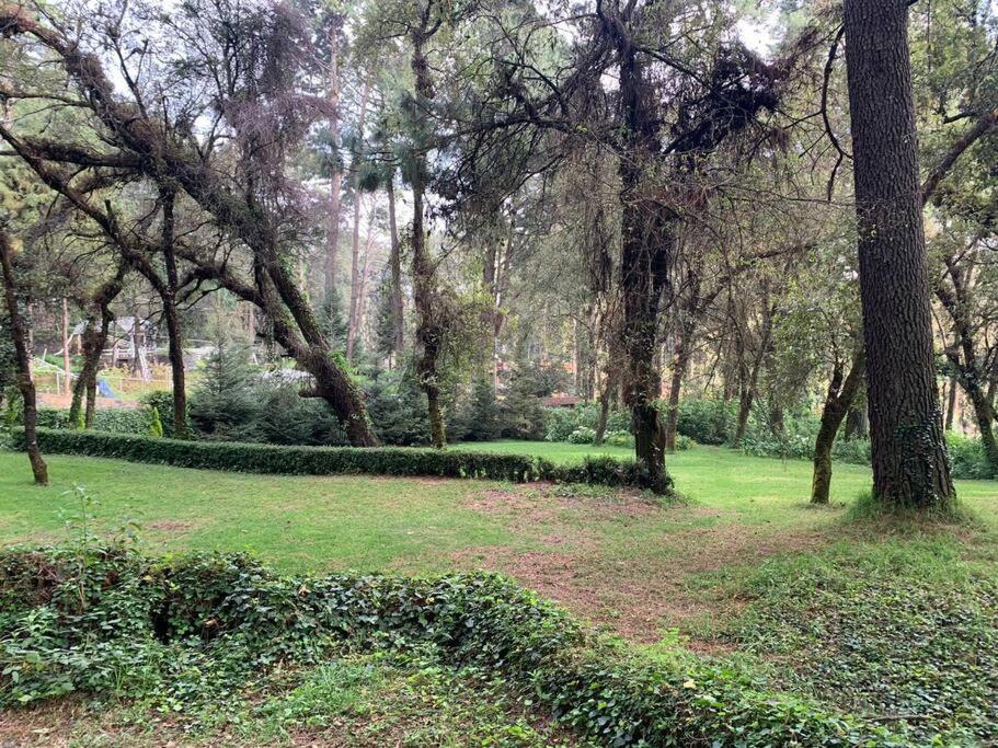 Hermosa cabaña en el bosque - Housity