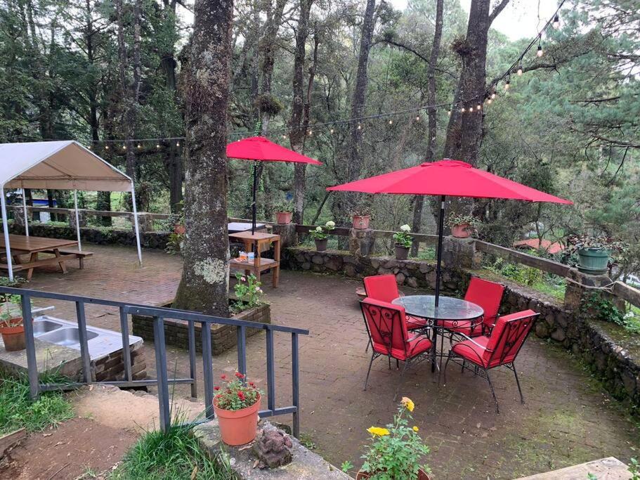 Hermosa cabaña en el bosque - Housity
