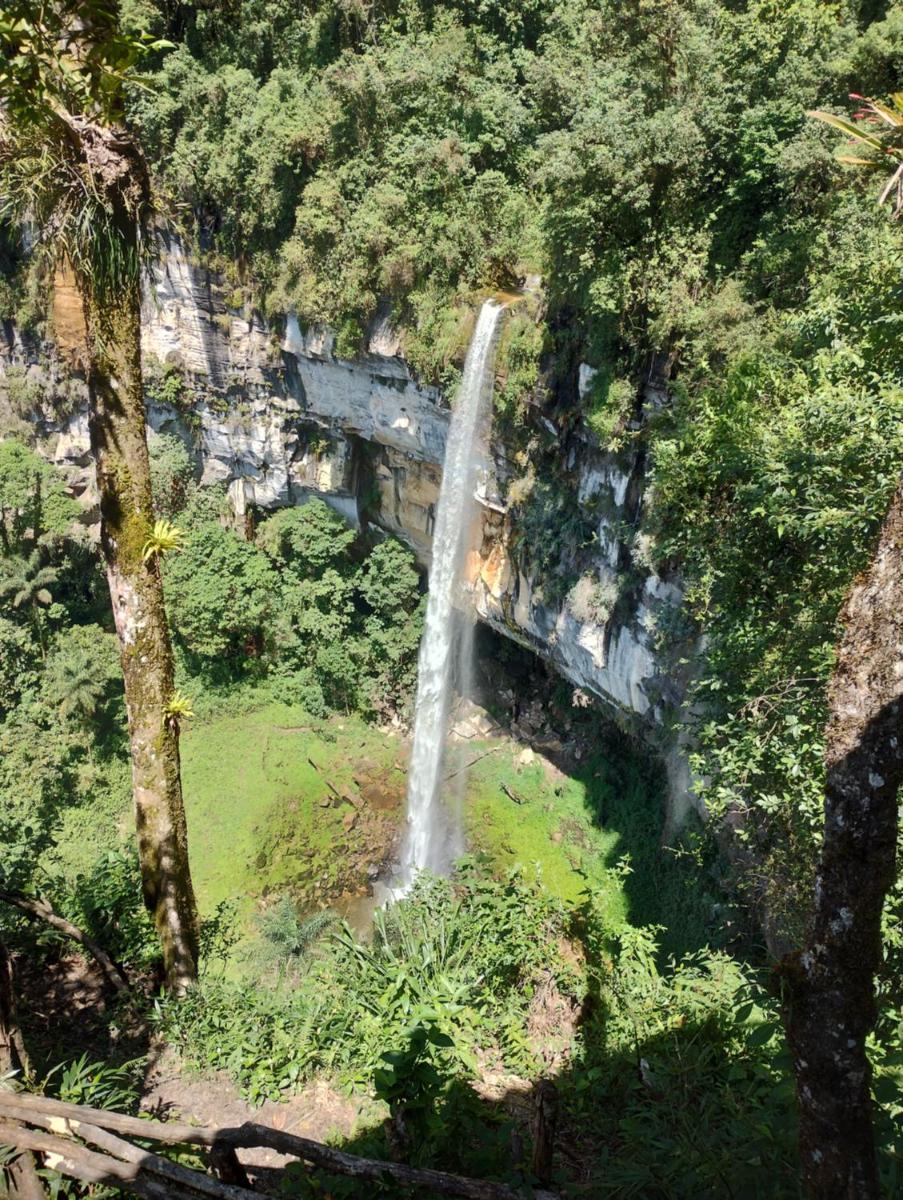 Yumbilla falls. Aventura en el bosque, Cuispes. Mystic travel & home - Housity