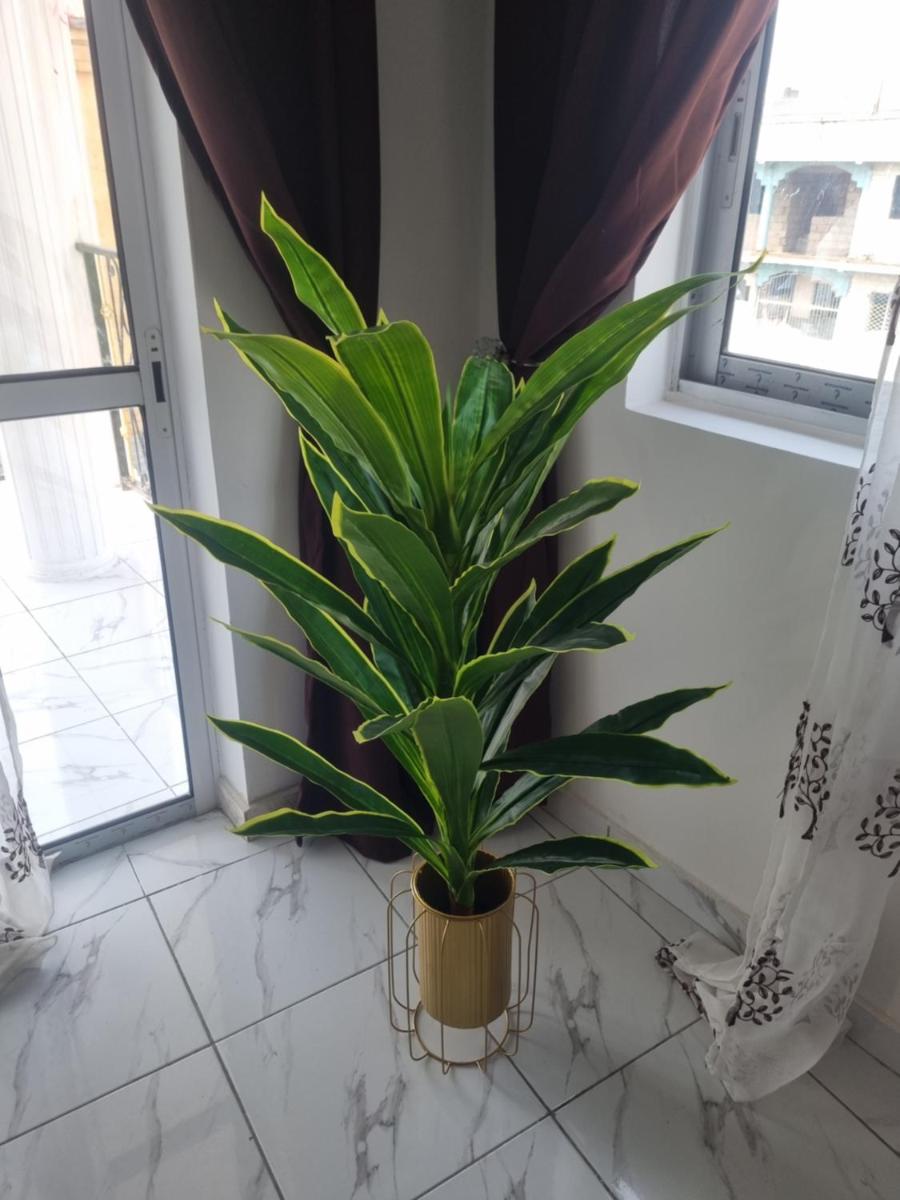Résidence Sighaka - Suite Royale - WiFi, Gardien, Parking - Housity