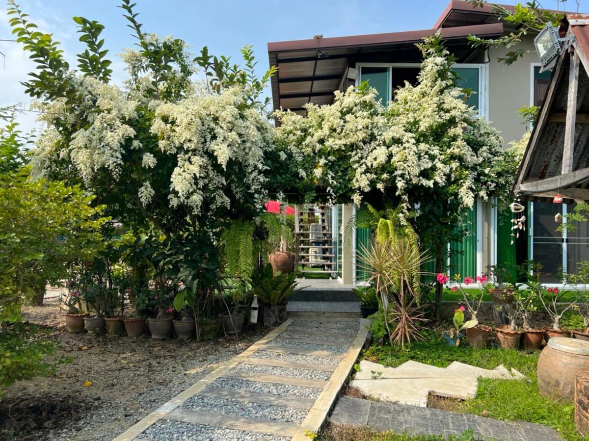 BanLomLak - Housity